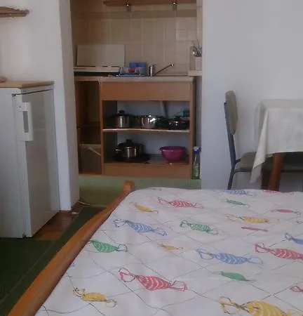Guest house Covic